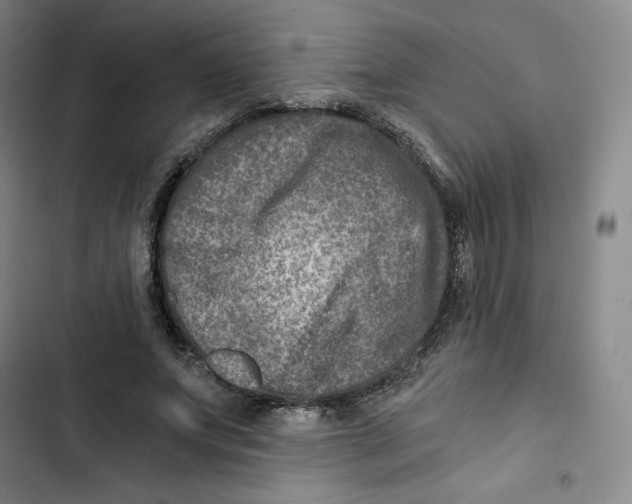 X0000102820687200809151016