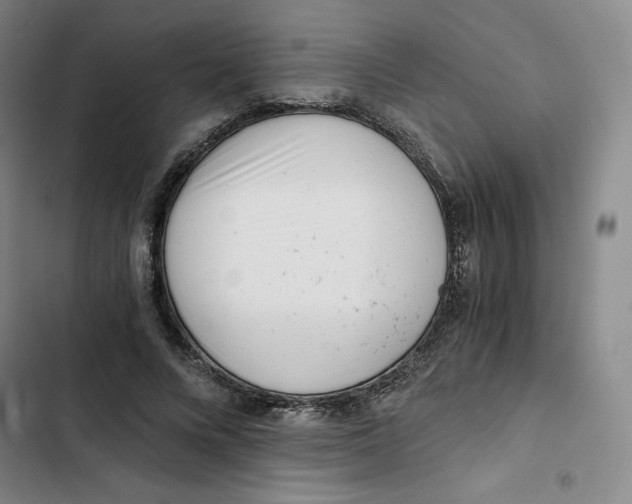 X0000102820688200809151016
