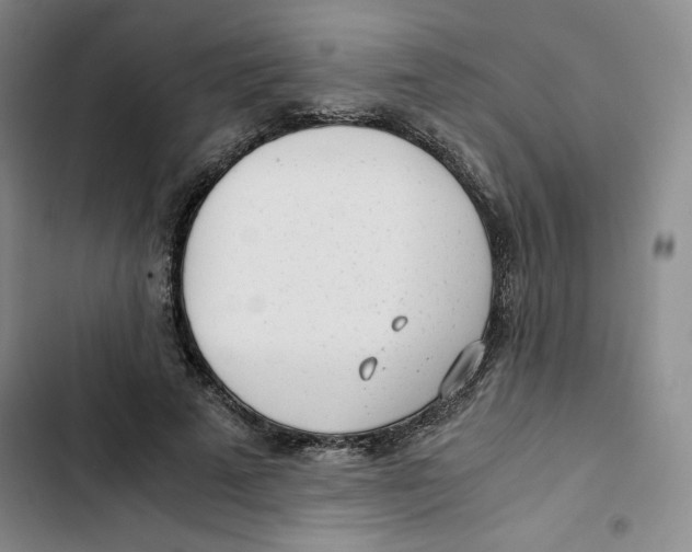 X0000102820689200809151016