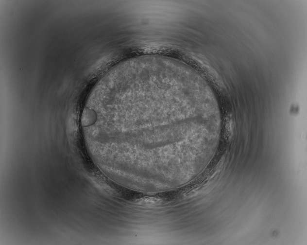 X0000102820691200809151016