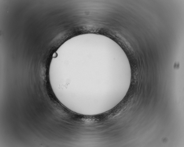 X0000102820693200809151016