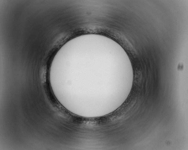 X0000102820694200809151016