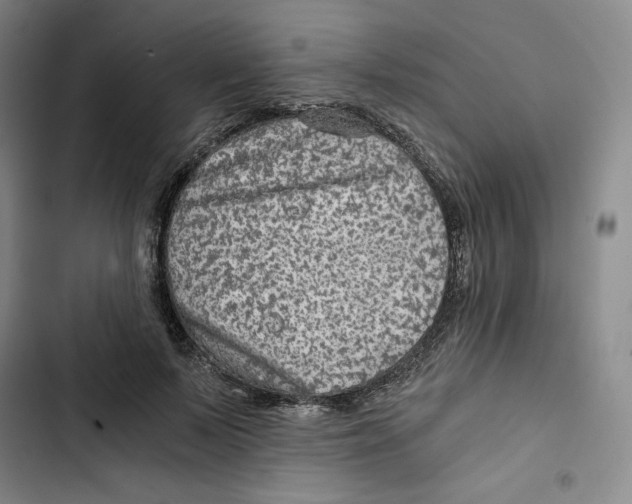 X0000102820695200809151016