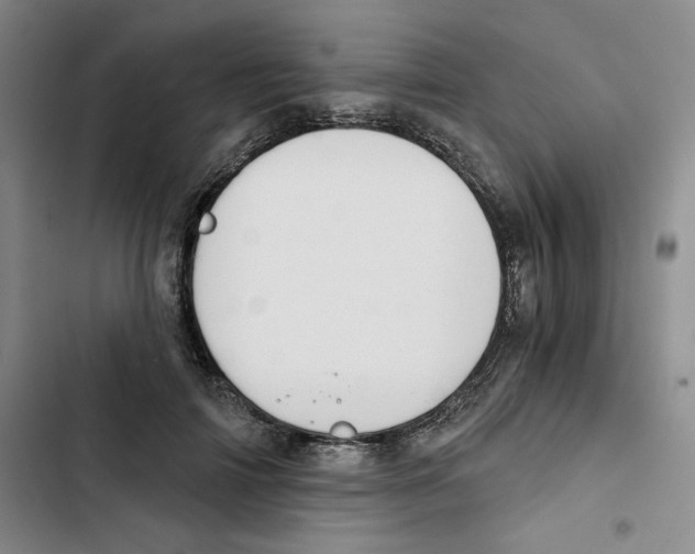 X0000102820698200809151015
