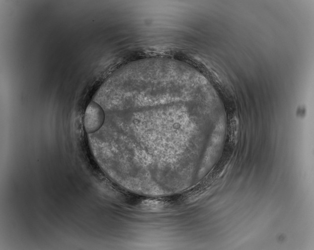 X0000102820699200809151015