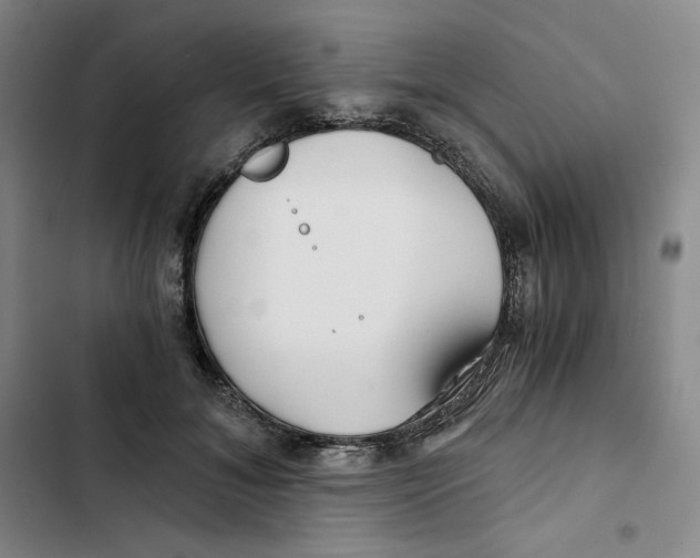 X0000102820700200809151015