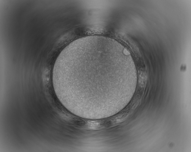 X0000102820701200809151015
