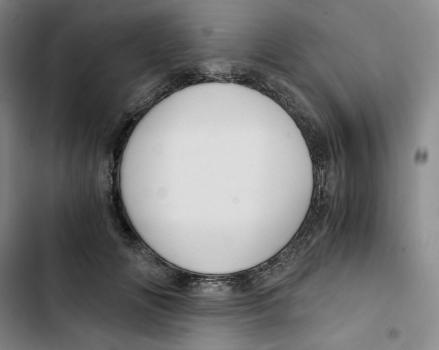 X0000102820702200809151015