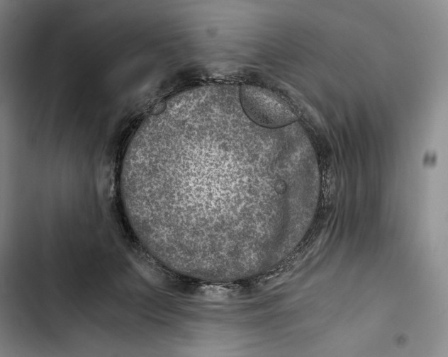 X0000102820703200809151015
