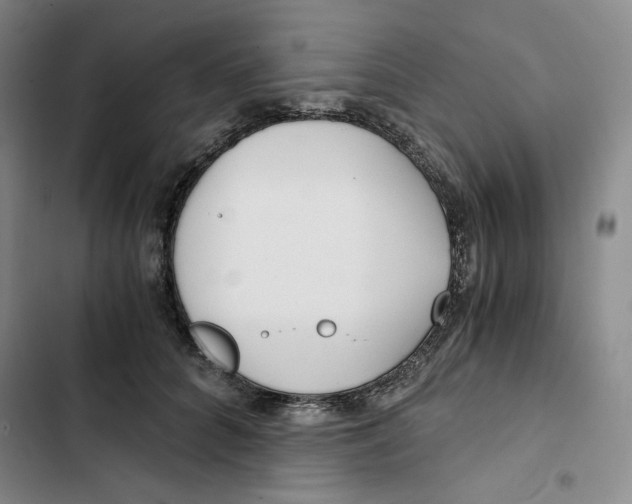 X0000102820704200809151015