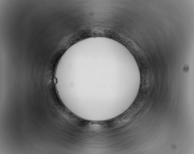 X0000102820706200809151015