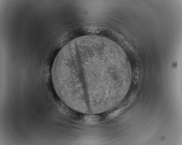 X0000102820707200809151015