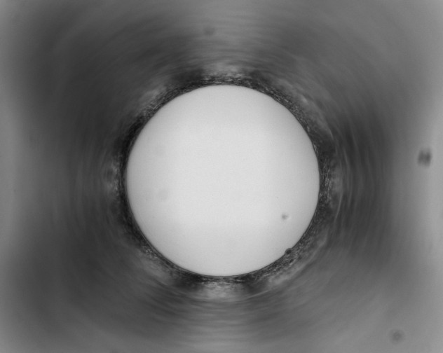 X0000102820708200809151015