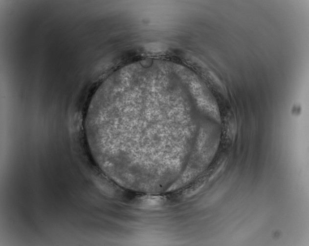 X0000102820711200809151015