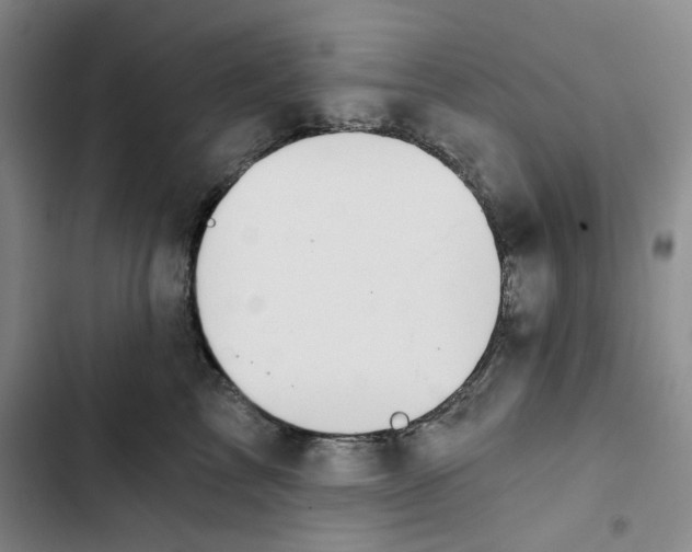 X0000102820713200809151015