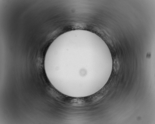 X0000102820714200809151015