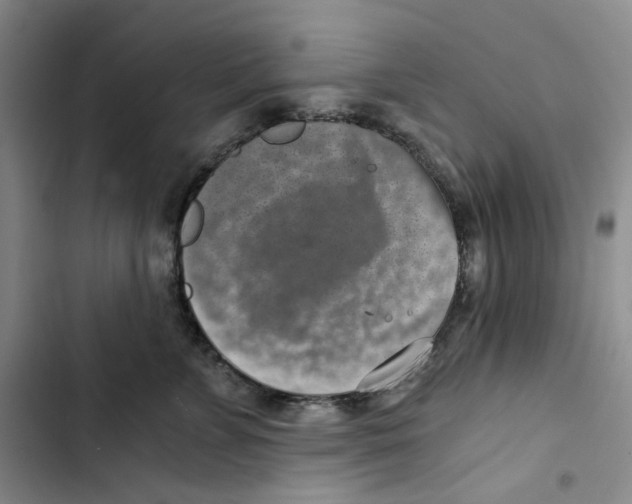 X0000102820715200809151015