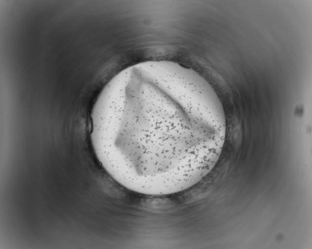 X0000102820716200809151015