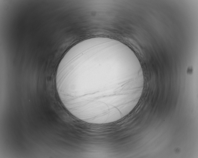 X0000102820717200809151015
