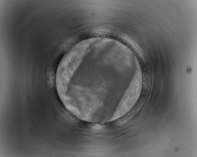 X0000102820718200809151015