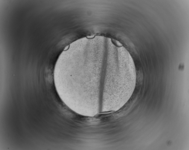X0000102820719200809151015