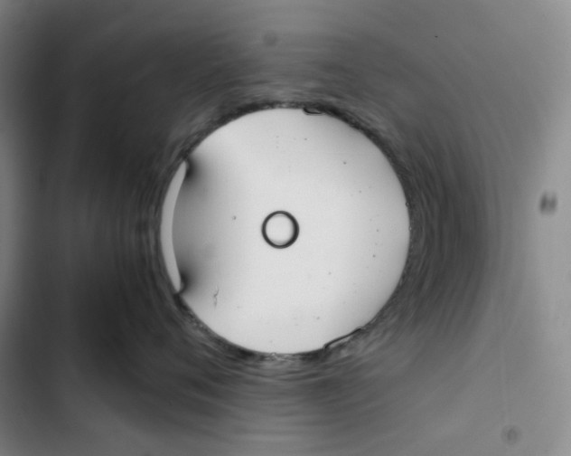 X0000102820720200809151015