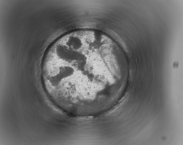 X0000102820721200809151014