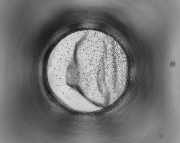 X0000102820722200809151015