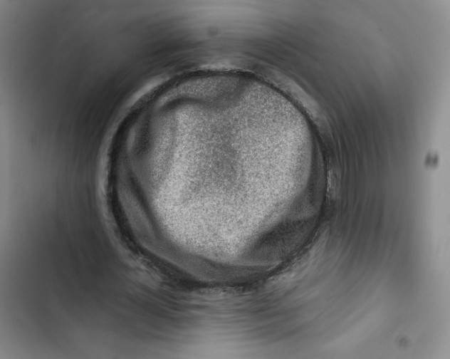 X0000102820724200809151015