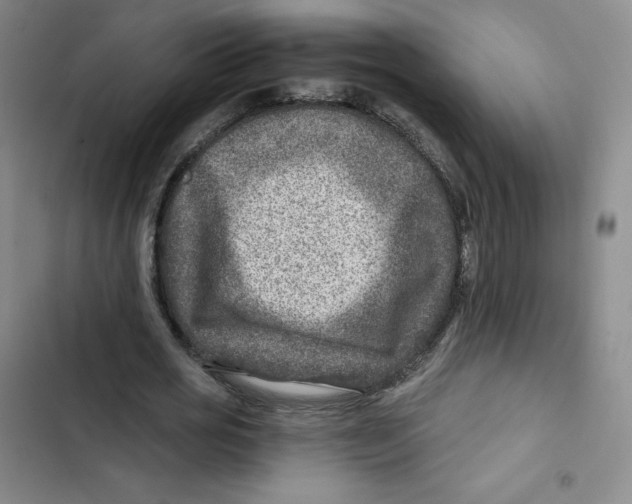 X0000102820725200809151015