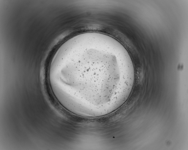 X0000102820726200809151015