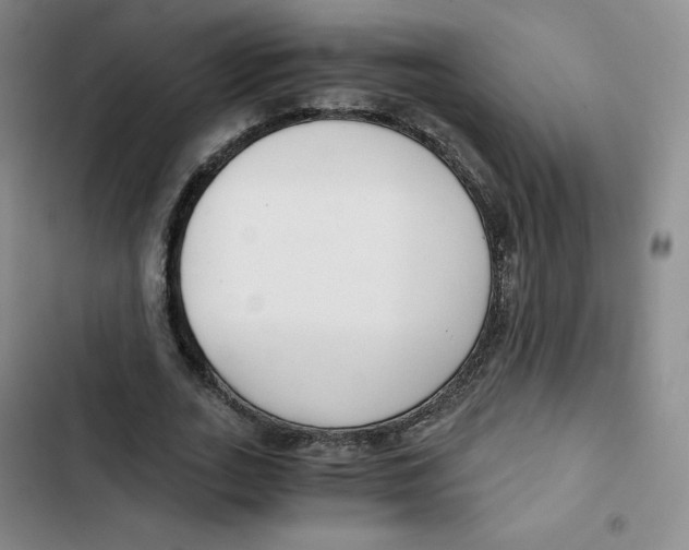X0000102820727200809151015