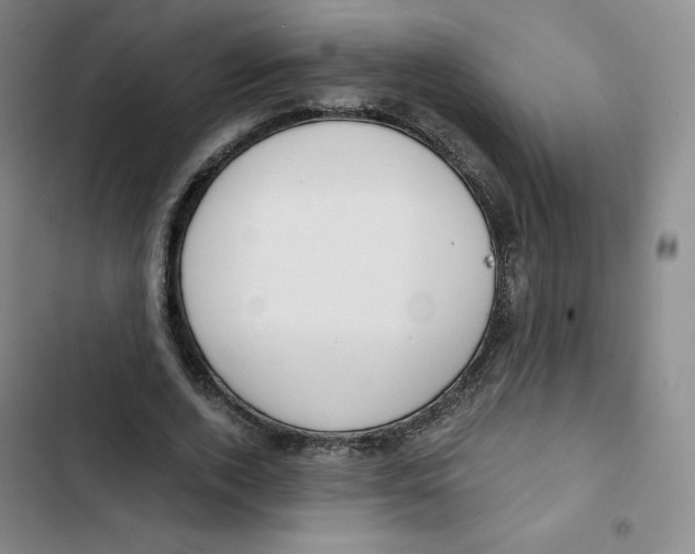 X0000102820728200809151015