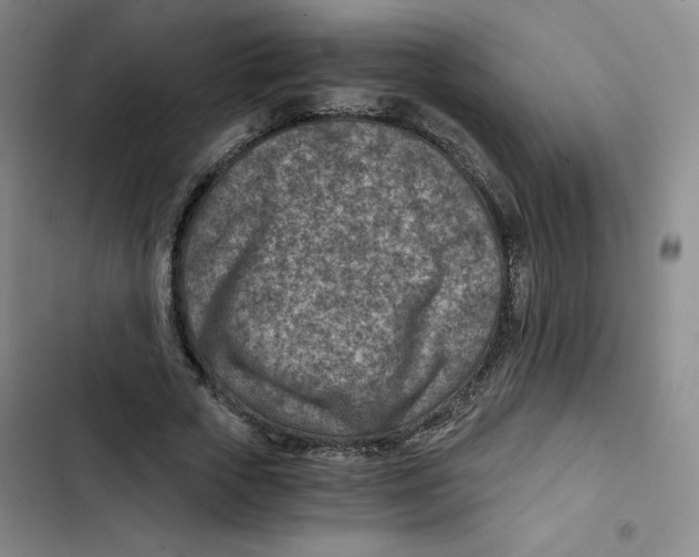 X0000102820729200809151015