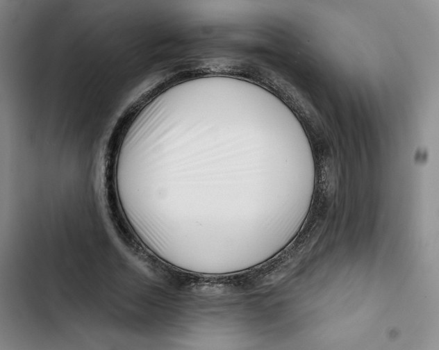 X0000102820730200809151015