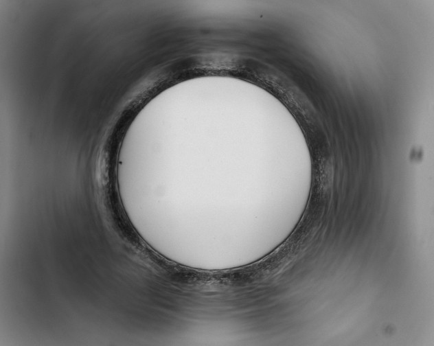 X0000102820731200809151015