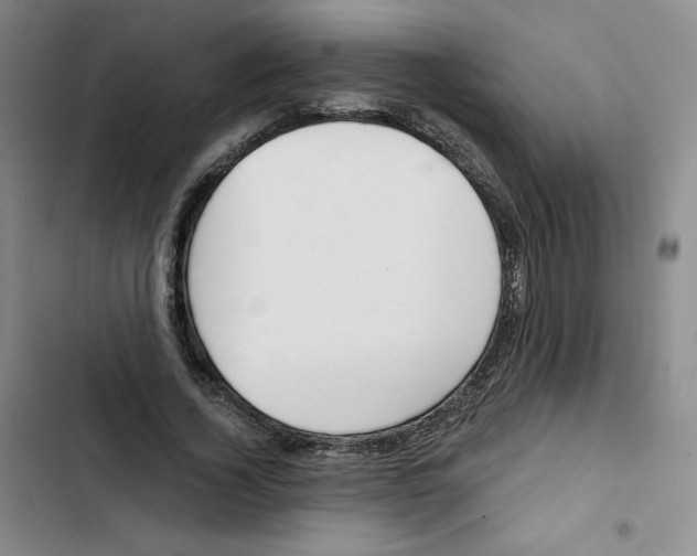 X0000102820732200809151015