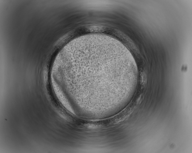 X0000102820733200809151015