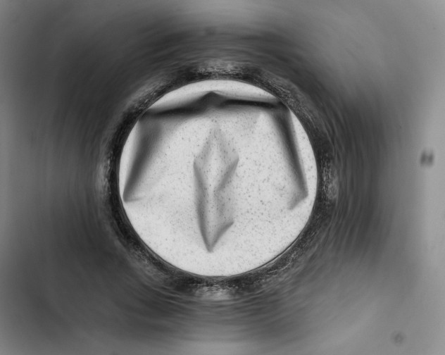 X0000102820735200809151015