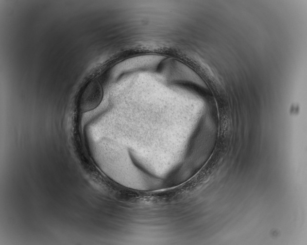 X0000102820736200809151015
