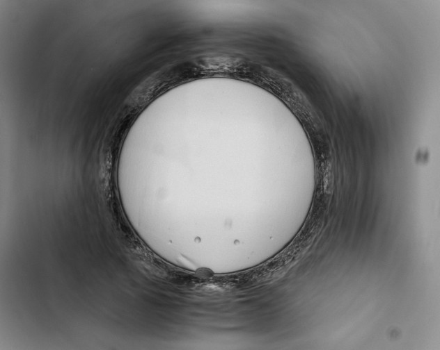X0000102820737200809151015