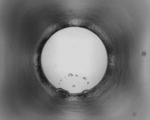 X0000102820738200809151015