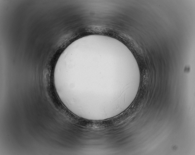 X0000102820739200809151015