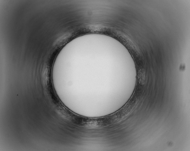 X0000102820740200809151015