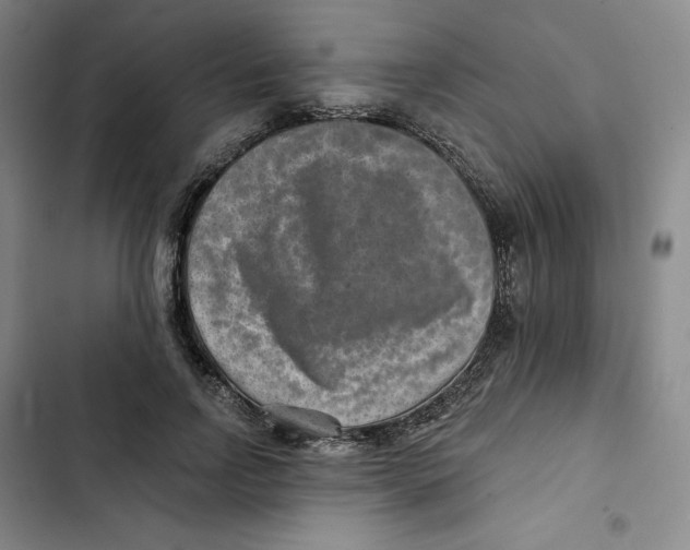 X0000102820742200809151015