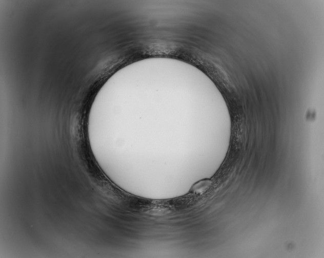 X0000102820743200809151015