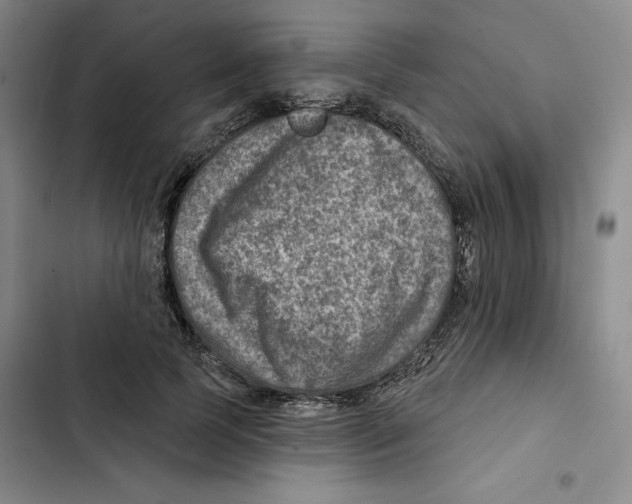 X0000102820745200809151015