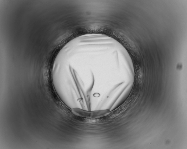X0000102820746200809151015
