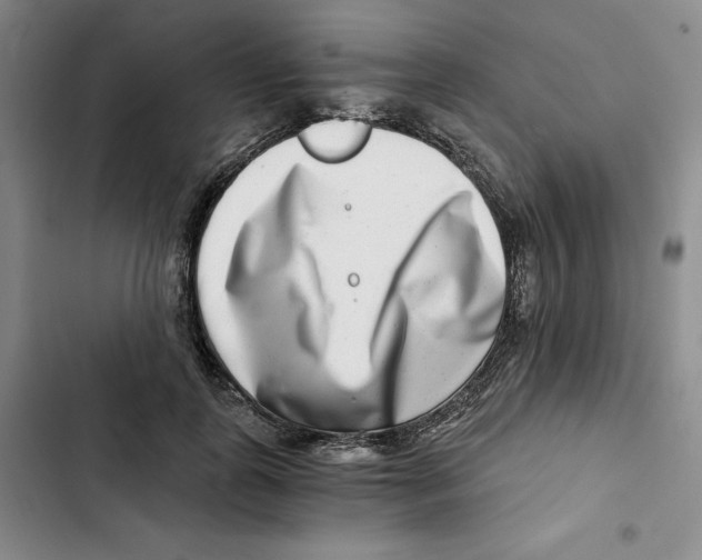 X0000102820747200809151015