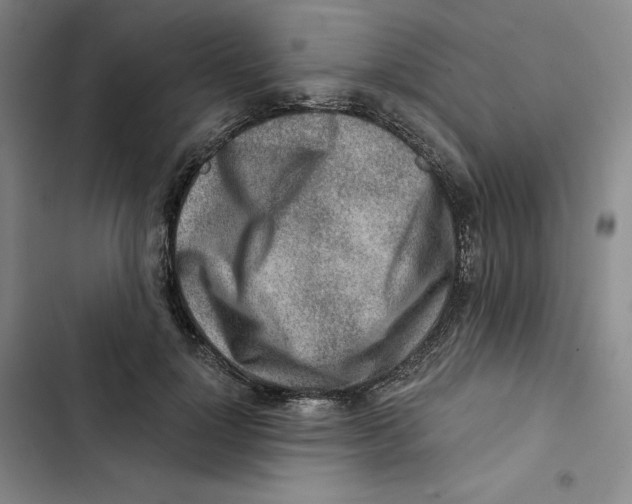 X0000102820748200809151015